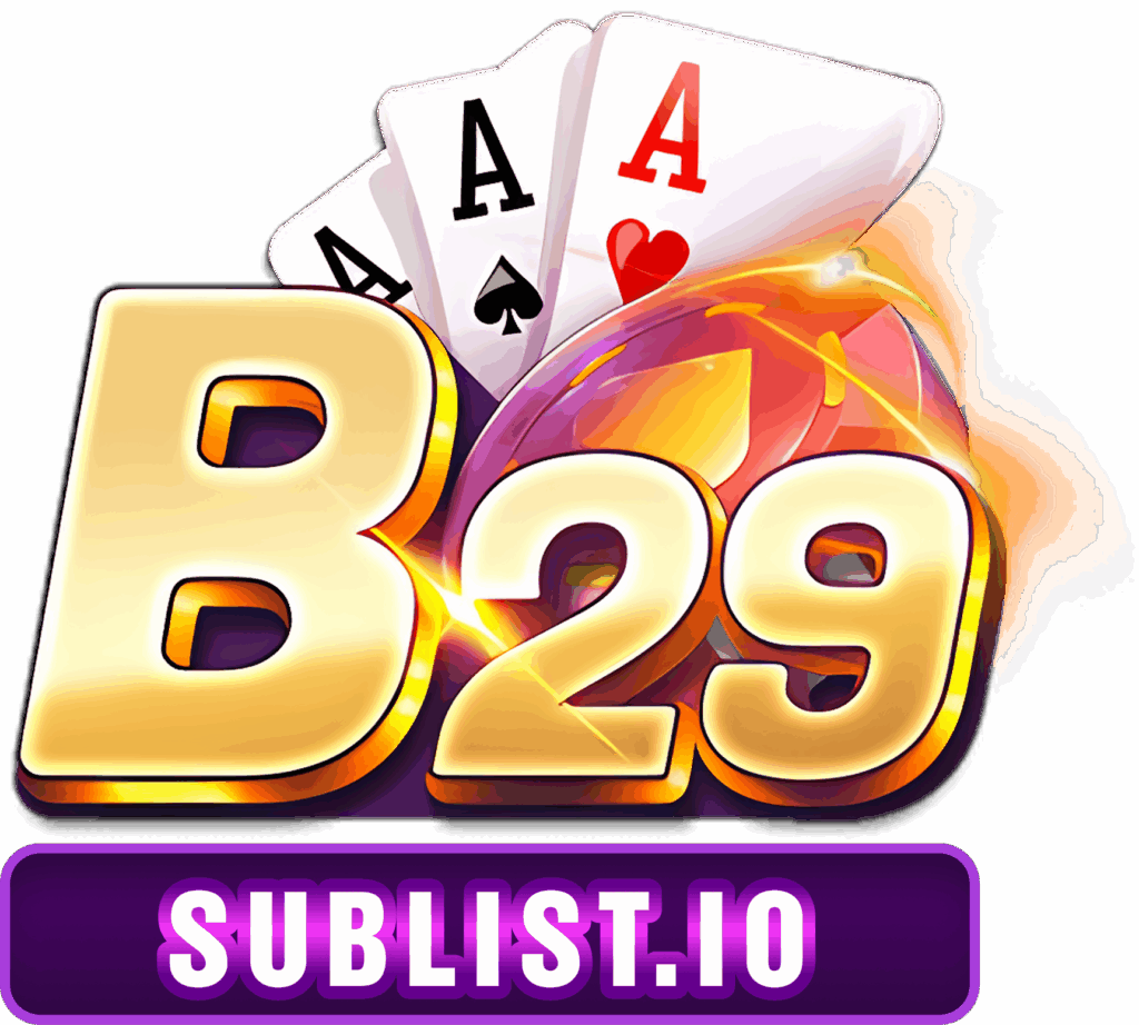 B29