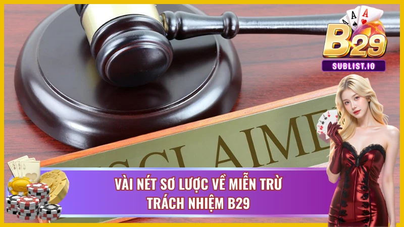 Miễn Trừ Trách Nhiệm B29 Với Những Chính Sách Cực Chi Tiết 1 Vài nét tổng quan về chính sách miễn trừ