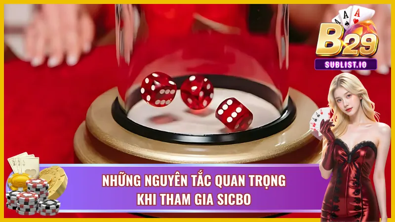 Sicbo B29 - Tham Gia Đặt Cược Với Nhiều Quà Trị Giá Khủng 3 Các quy tắc cần nắm khi tham gia sicbo B29